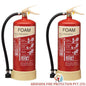 Foam Based Portable Fire Extinguisher